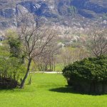 Massi erratici presso Novalesa (TO) - Foto Archivio Regione Piemonte